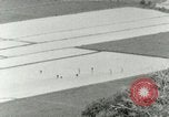 Image of Hawaiian workers Hawaii USA, 1937, second 37 stock footage video 65675022653