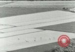 Image of Hawaiian workers Hawaii USA, 1937, second 38 stock footage video 65675022653