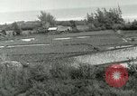 Image of Hawaiian workers Hawaii USA, 1937, second 41 stock footage video 65675022653
