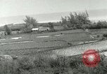 Image of Hawaiian workers Hawaii USA, 1937, second 48 stock footage video 65675022653