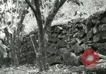 Image of mist covered mountains Hawaii USA, 1937, second 51 stock footage video 65675022654