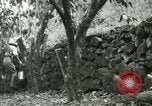 Image of mist covered mountains Hawaii USA, 1937, second 53 stock footage video 65675022654