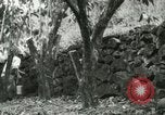 Image of mist covered mountains Hawaii USA, 1937, second 54 stock footage video 65675022654