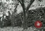 Image of mist covered mountains Hawaii USA, 1937, second 55 stock footage video 65675022654