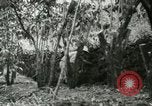 Image of mist covered mountains Hawaii USA, 1937, second 56 stock footage video 65675022654
