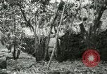 Image of mist covered mountains Hawaii USA, 1937, second 58 stock footage video 65675022654