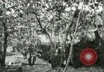 Image of mist covered mountains Hawaii USA, 1937, second 61 stock footage video 65675022654