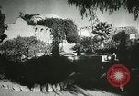 Image of San Juan Capistrano Mission California United States USA, 1934, second 39 stock footage video 65675022656