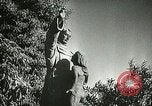 Image of San Juan Capistrano Mission California United States USA, 1934, second 49 stock footage video 65675022656