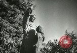 Image of San Juan Capistrano Mission California United States USA, 1934, second 50 stock footage video 65675022656