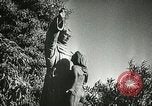Image of San Juan Capistrano Mission California United States USA, 1934, second 52 stock footage video 65675022656