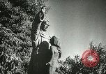Image of San Juan Capistrano Mission California United States USA, 1934, second 53 stock footage video 65675022656