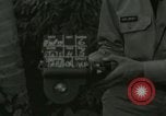 Image of Street scenes during Statehood celebrations Hawaii USA, 1959, second 6 stock footage video 65675022662