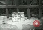Image of Statehood celebrations Hawaii USA, 1959, second 7 stock footage video 65675022664