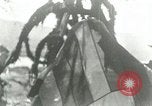 Image Sesquicentennial of Captain Cook's découverte de Hawaii Kealakekua Bay Hawaii USA, 1928, de la seconde 46 séquences d'archives historiques vidéo 65675022673