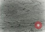 Image of Secretary Davis Hawaii USA, 1928, second 25 stock footage video 65675022678