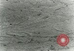 Image of Secretary Davis Hawaii USA, 1928, second 26 stock footage video 65675022678