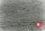 Image of Secretary Davis Hawaii USA, 1928, second 27 stock footage video 65675022678