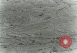 Image of Secretary Davis Hawaii USA, 1928, second 28 stock footage video 65675022678