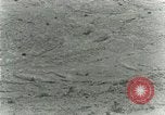 Image of Secretary Davis Hawaii USA, 1928, second 29 stock footage video 65675022678