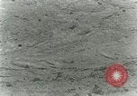 Image of Secretary Davis Hawaii USA, 1928, second 30 stock footage video 65675022678