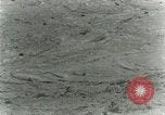 Image of Secretary Davis Hawaii USA, 1928, second 31 stock footage video 65675022678