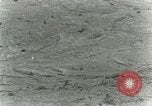 Image of Secretary Davis Hawaii USA, 1928, second 32 stock footage video 65675022678