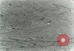 Image of Secretary Davis Hawaii USA, 1928, second 33 stock footage video 65675022678