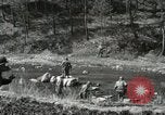 Image of Reconnaissance Patrol Korea, 1951, second 26 stock footage video 65675022680