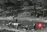 Image of Reconnaissance Patrol Korea, 1951, second 29 stock footage video 65675022680
