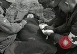 Image of 187th Airborne Regimental Combat team Korea, 1951, second 15 stock footage video 65675022686