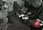 Image of 187th Airborne Regimental Combat team Korea, 1951, second 19 stock footage video 65675022686