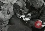Image of 187th Airborne Regimental Combat team Korea, 1951, second 22 stock footage video 65675022686