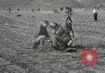 Image of 187th Regimental Combat Team Korea, 1951, second 58 stock footage video 65675022687