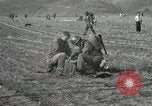 Image of 187th Regimental Combat Team Korea, 1951, second 59 stock footage video 65675022687