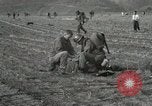 Image of 187th Regimental Combat Team Korea, 1951, second 60 stock footage video 65675022687
