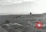 Image of Massive air drop by 187th Airborne Regimental Combat Team Korea, 1951, second 41 stock footage video 65675022693