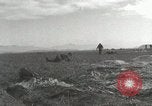 Image of Massive air drop by 187th Airborne Regimental Combat Team Korea, 1951, second 42 stock footage video 65675022693