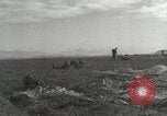 Image of Massive air drop by 187th Airborne Regimental Combat Team Korea, 1951, second 44 stock footage video 65675022693