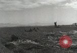 Image of Massive air drop by 187th Airborne Regimental Combat Team Korea, 1951, second 45 stock footage video 65675022693