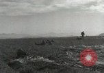 Image of Massive air drop by 187th Airborne Regimental Combat Team Korea, 1951, second 47 stock footage video 65675022693