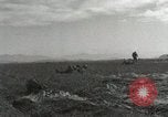 Image of Massive air drop by 187th Airborne Regimental Combat Team Korea, 1951, second 48 stock footage video 65675022693