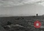 Image of Massive air drop by 187th Airborne Regimental Combat Team Korea, 1951, second 50 stock footage video 65675022693