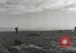 Image of Massive air drop by 187th Airborne Regimental Combat Team Korea, 1951, second 58 stock footage video 65675022693