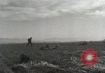 Image of Massive air drop by 187th Airborne Regimental Combat Team Korea, 1951, second 59 stock footage video 65675022693