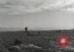 Image of Massive air drop by 187th Airborne Regimental Combat Team Korea, 1951, second 60 stock footage video 65675022693
