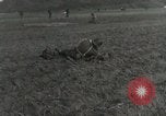 Image of Massive air drop by 187th Airborne Regimental Combat Team Korea, 1951, second 62 stock footage video 65675022693