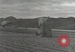 Image of 187th Airborne Regimental Combat Team Korea, 1951, second 52 stock footage video 65675022694