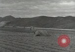 Image of 187th Airborne Regimental Combat Team Korea, 1951, second 53 stock footage video 65675022694