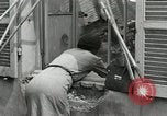 Image of French people dig in rubble Aix-en-Provence France, 1944, second 16 stock footage video 65675022698